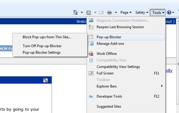 popup blocker control screen shot for Internet Explorer 8