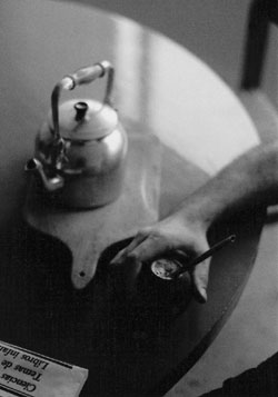 yerba mate