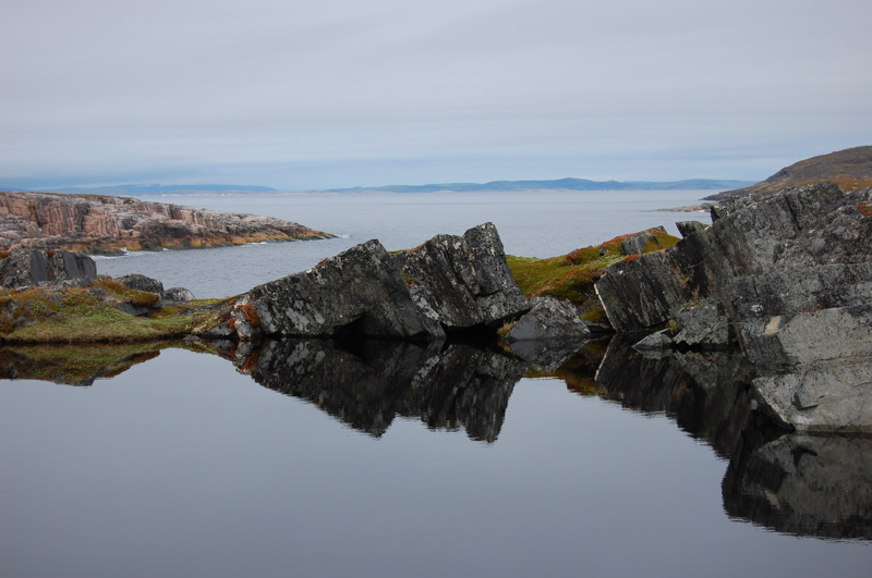 Reflection