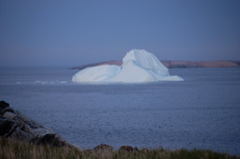 More icebergs