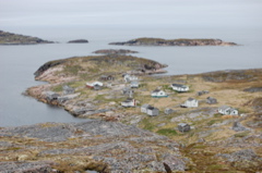 Caribou Island