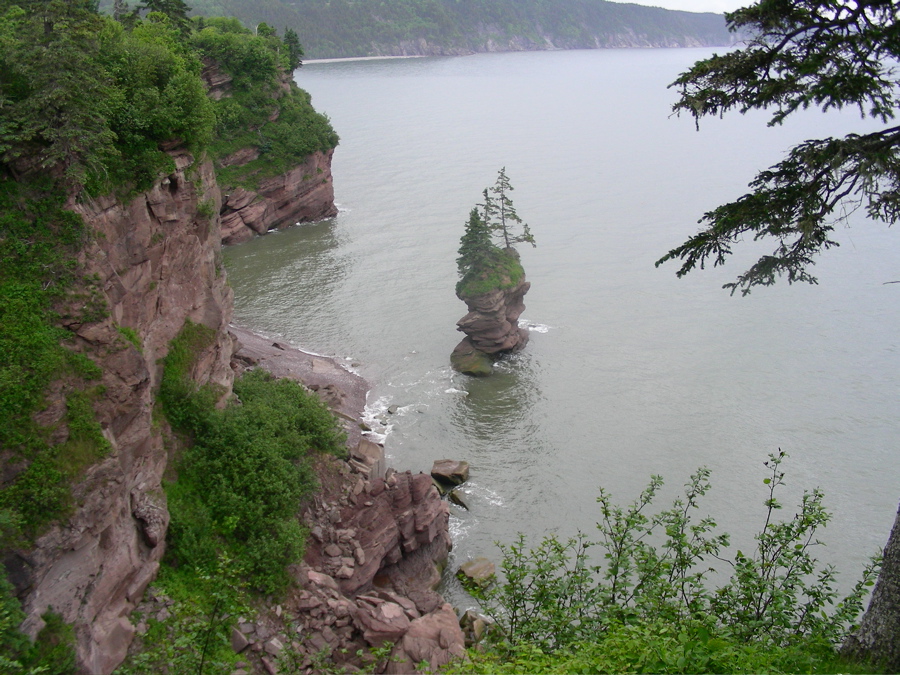 Fundy Flowerpot