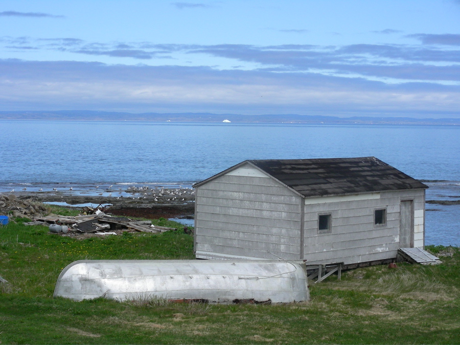 Iceburg Alley