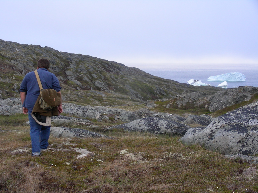 In Search of Iceburgs