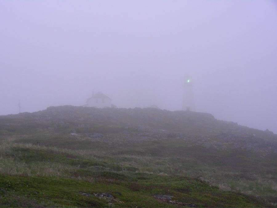Fog