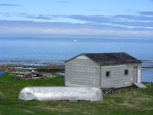 Iceburg Alley