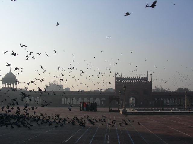 DSCN2783.JPG