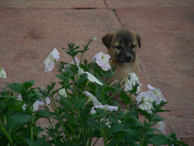DSCN3014.JPG