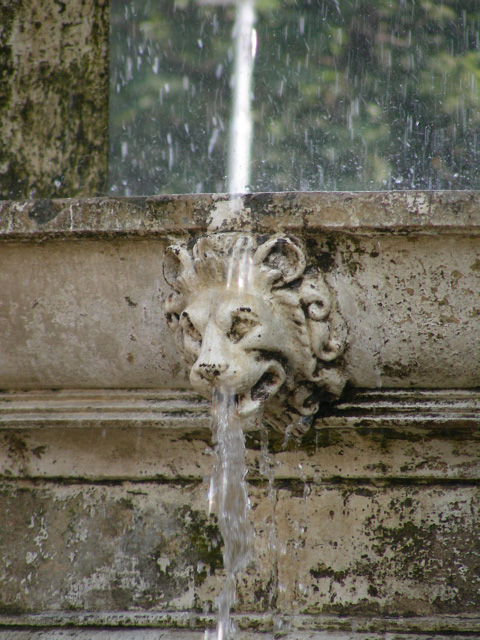 DSCN3553.JPG