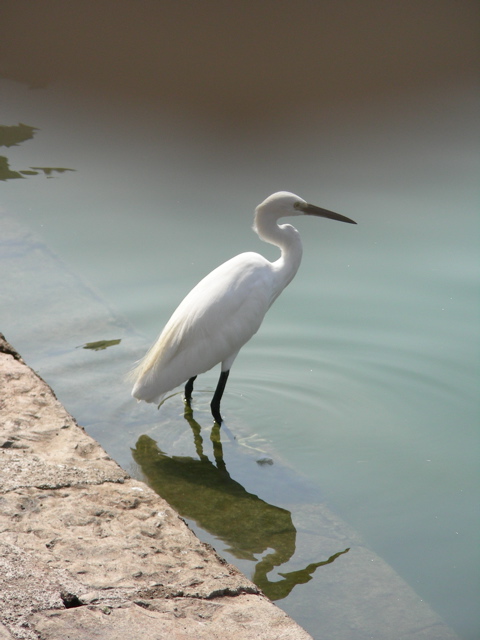 DSCN3902.JPG