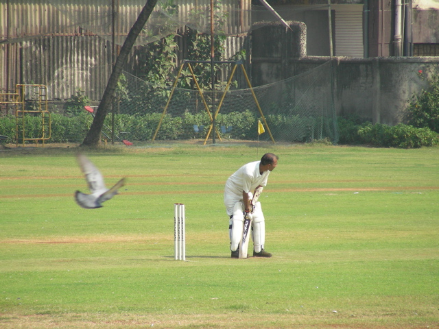 DSCN3912.JPG
