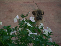 DSCN3014.JPG