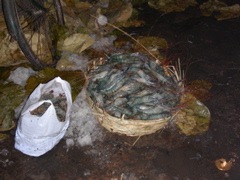 DSCN3279.JPG