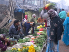 DSCN3331.JPG