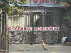 DSCN3395.JPG