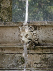 DSCN3553.JPG
