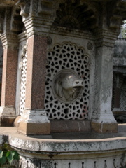 DSCN3563.JPG
