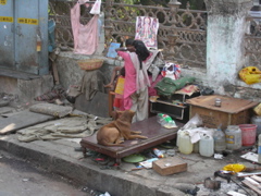DSCN3757.JPG