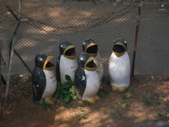 DSCN3866.JPG