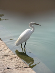 DSCN3902.JPG