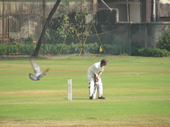 DSCN3912.JPG