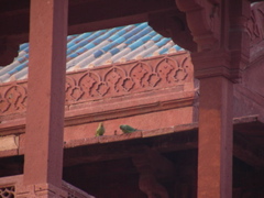 DSCN2988.JPG