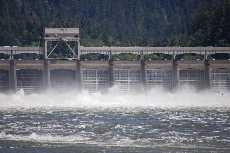 Damming the Columbia