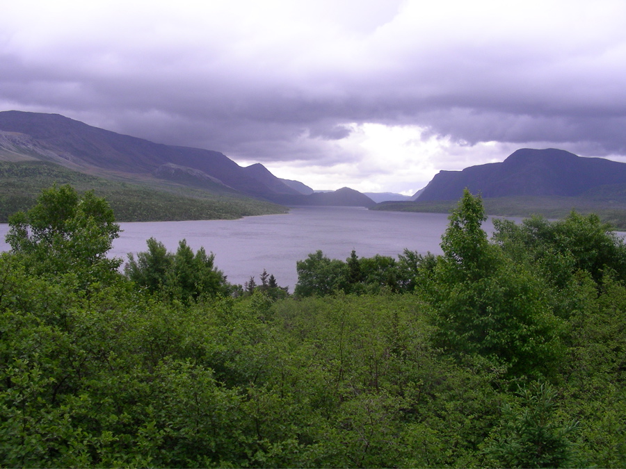 Gathering Storm