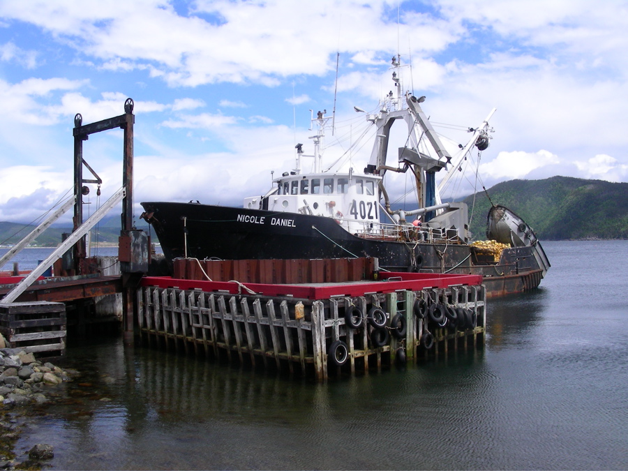 Woody Point