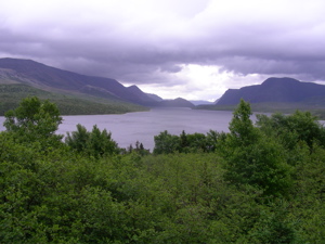 Gathering Storm