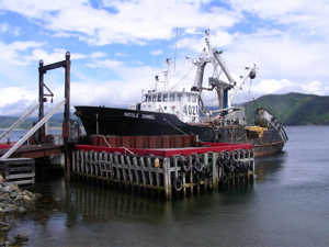 Woody Point