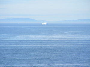 More ice