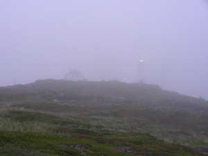 Fog