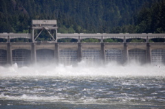 Damming the Columbia