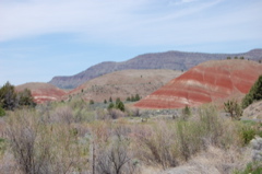 Painted Desert
